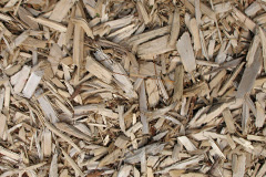 biomass boilers Ledicot