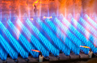 Ledicot gas fired boilers